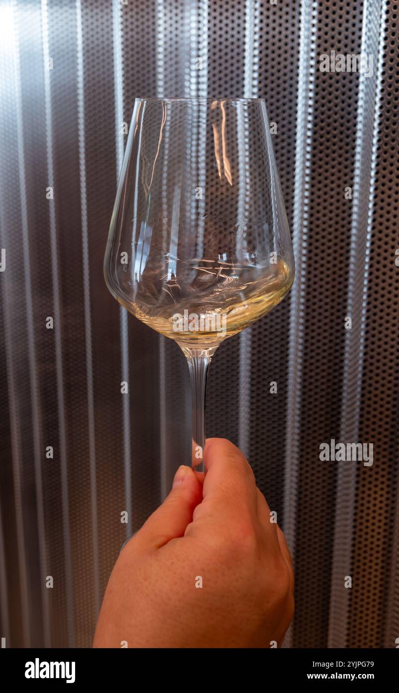 Verkostung von trockenem Weißwein aus der Mosel in Luxemburg, Besuch der Weinkellerei in Grevenmacher, Wein aus Terrassenweinen, Nahaufnahme Stockfoto