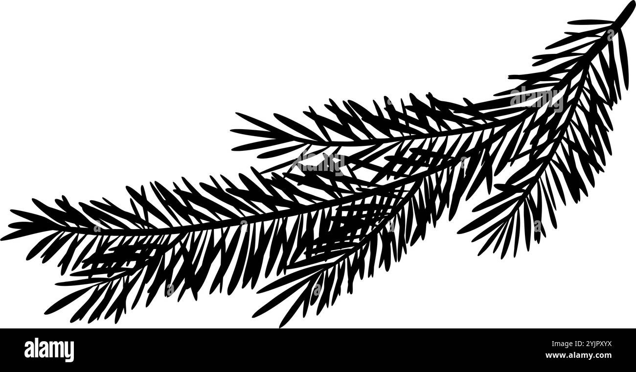 Vektorillustration mit Silhouette von Kiefer- oder Tannenzweigen. Zeichnen mit Weihnachtsbaum für Neujahrsgrußkarten oder Weihnachtseinladungen. Schwarzer Schatten des Nadelzweigs für Weihnachten. Botanische Ätzung. Stock Vektor