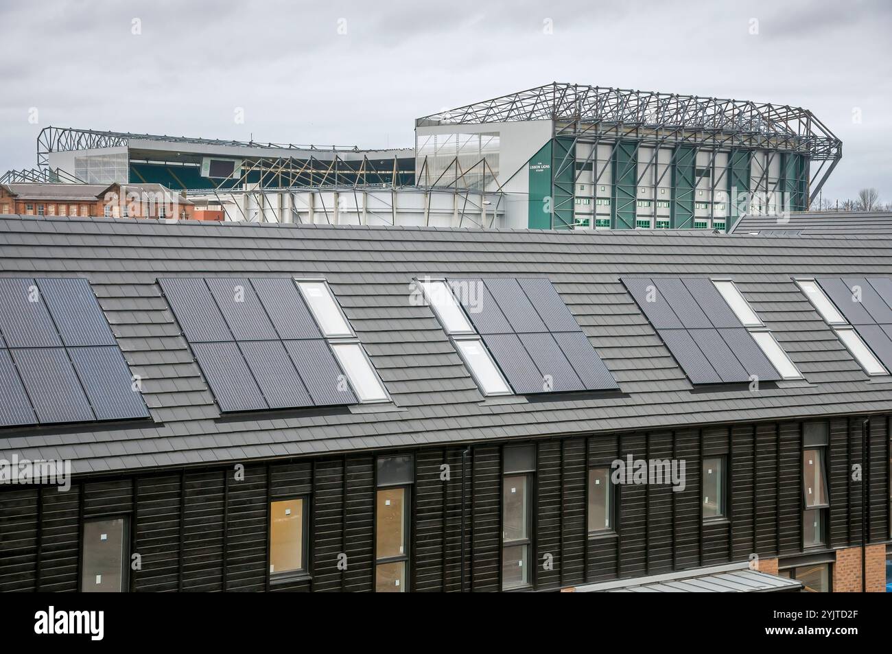 Solarpaneele auf neuem Dach, moderne Wohnsiedlung, glasgow, schottland, großbritannien Stockfoto