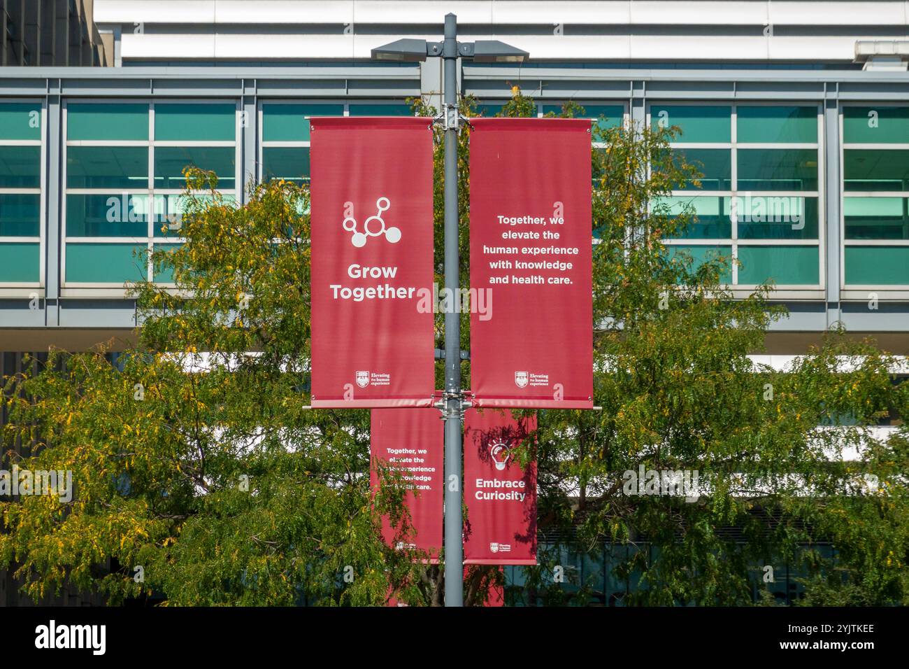 CHICAGO, IL, USA, 21. SEPTEMBER 2024: Flaggen auf dem Campus des University of Chicago Medical Center. Stockfoto