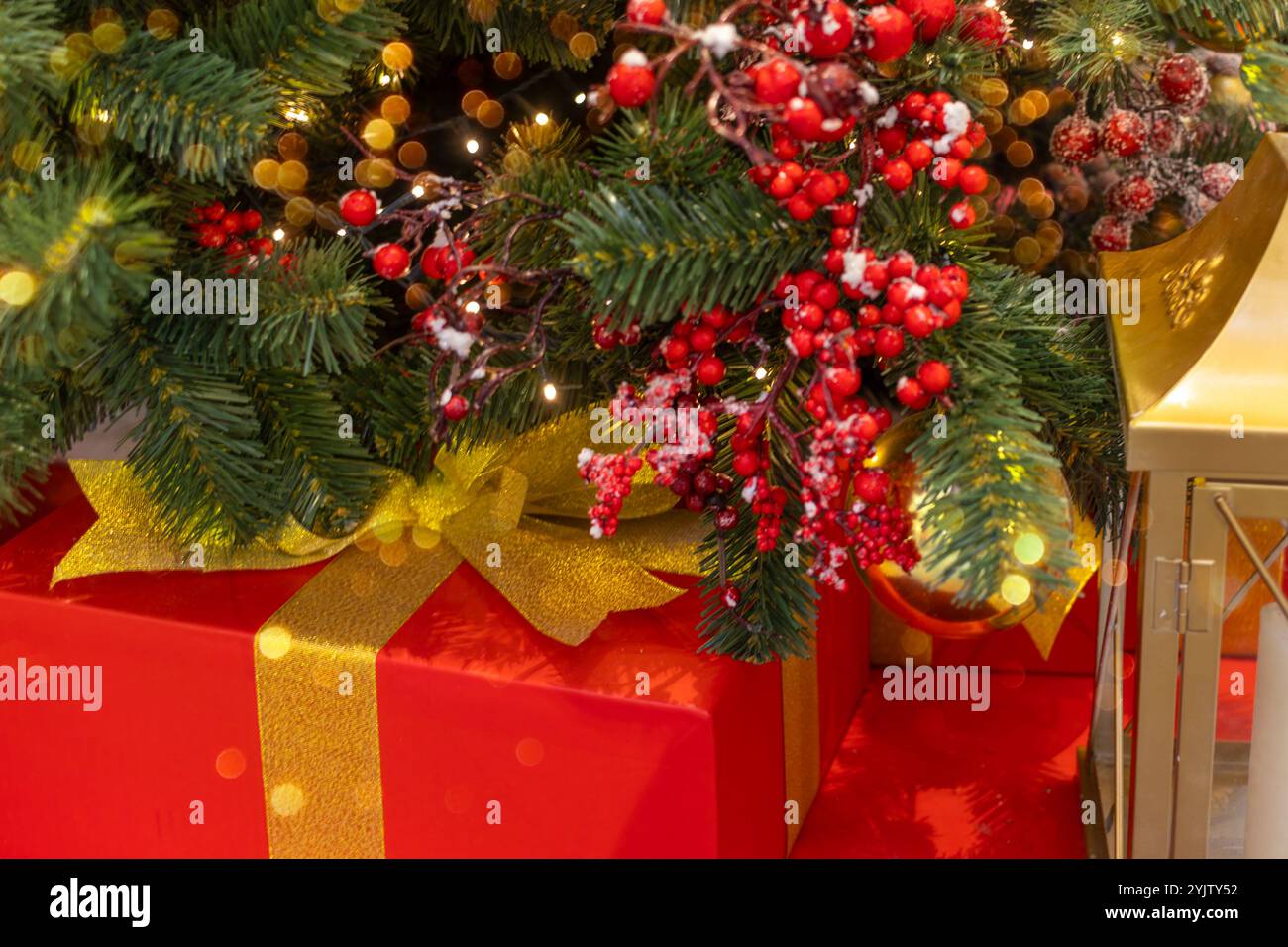 Rote Beeren schmücken den Weihnachtsbaum. Geschenke in roter Verpackung mit goldenem Band. Stockfoto