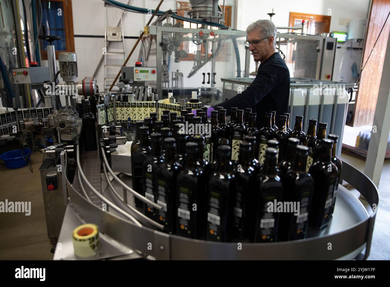 Soller, Spanien. November 2024. Gaspar legt Flaschen mit Olivenöl auf ein Förderband in der Ölpressanlage der Landwirtschaftsgenossenschaft Soller. Quelle: Clara Margais/dpa/Alamy Live News Stockfoto