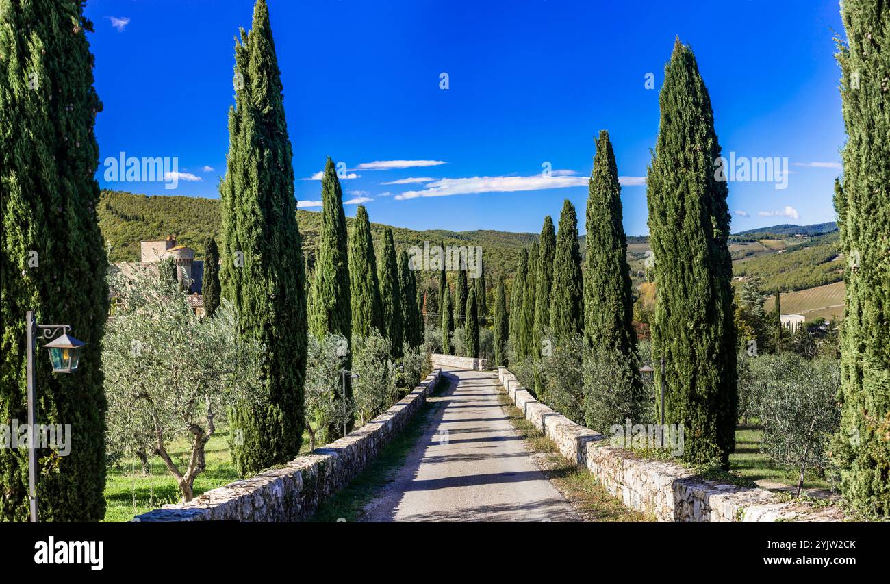 Italien, toskanische Landschaft . Gasse mit Zypressen. Typisch toskanische Landschaft und Straßendekoration Stockfoto