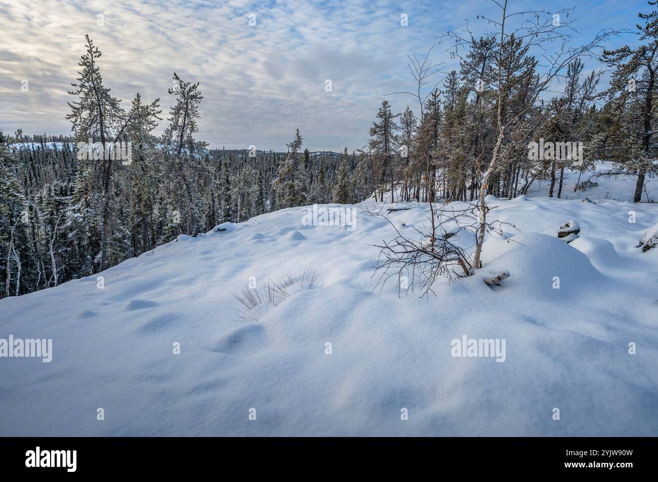 Winterblick auf einen Hügel auf dem Cameron Falls Trail im Hidden Lake Territory Park in der Nähe von Yellowknife, Northwest Territories, Kanada Stockfoto