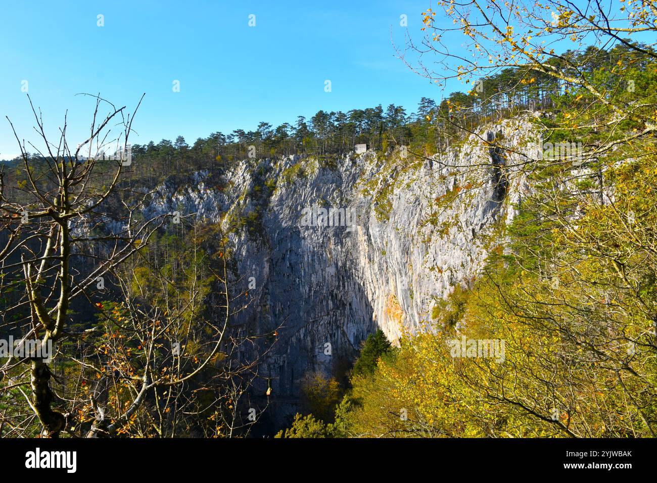 Felswand bei Velika Dolina Karstkalkstein Felsformation in Primorska, Slowenien mit gelben Herbstblättern Stockfoto