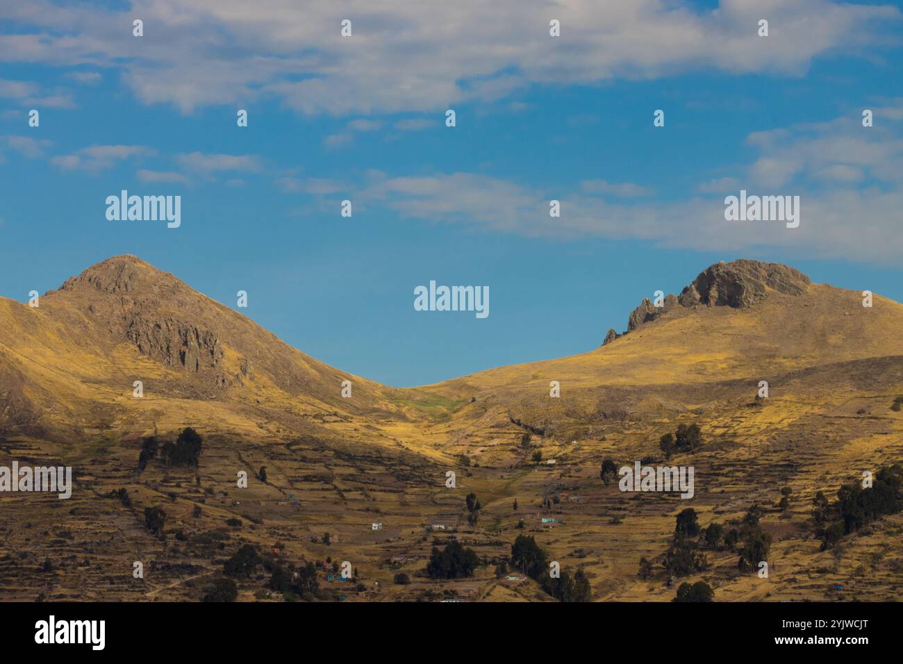 Goldene Berglandschaft in Copacabana, Bolivien, mit sanften Hügeln, Terrassenfeldern und verstreuten ländlichen Häusern unter einem hellblauen Himmel Stockfoto