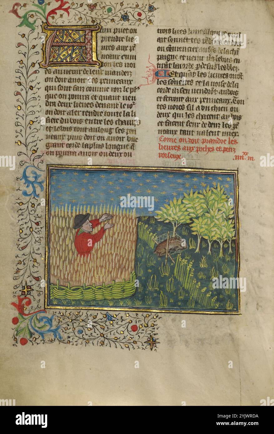 Ein Jäger und ein Netzhase; Livre de la Chasse, ca. 1430–1440. Mittelalterliches Jagdbuch. Stockfoto