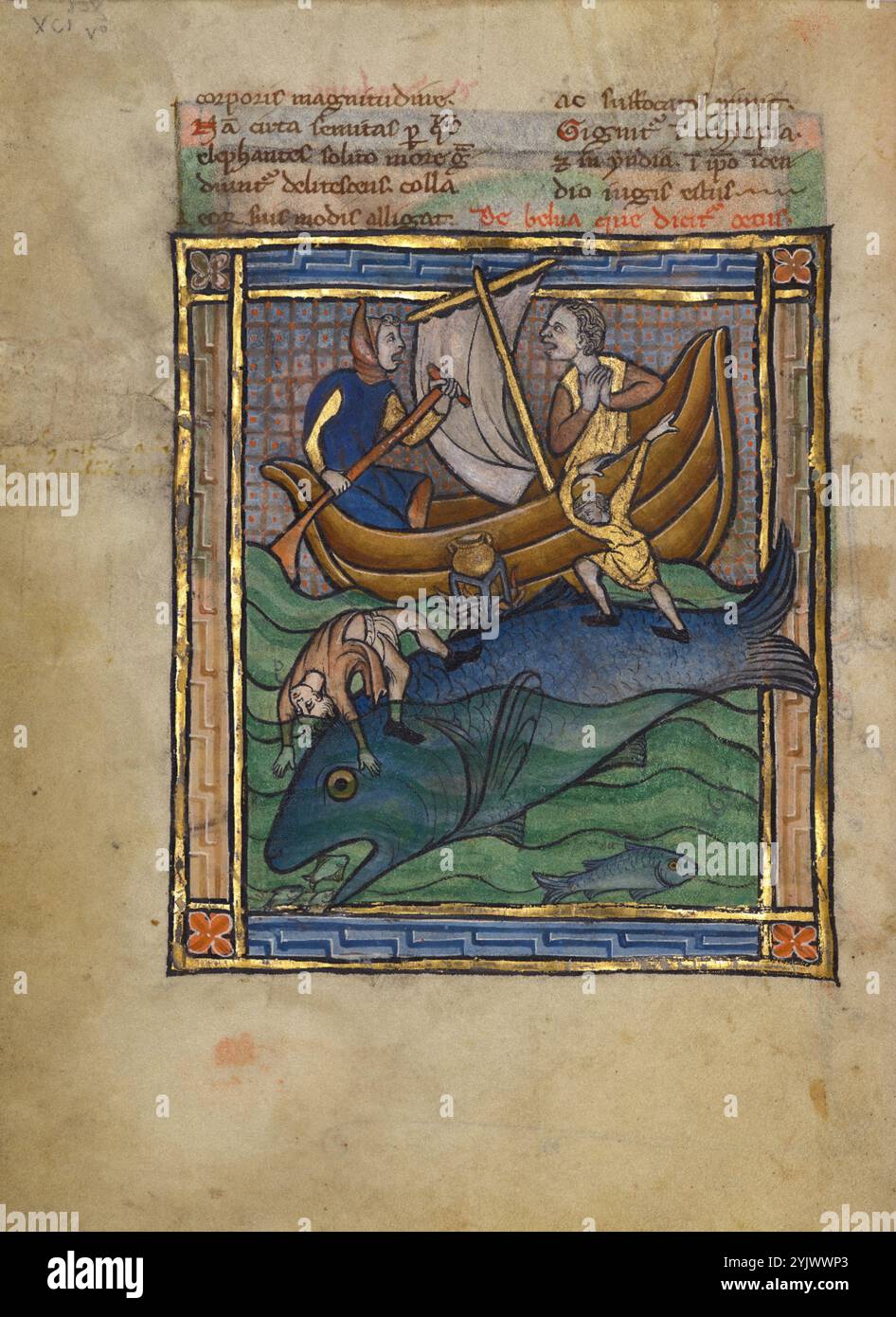 Ein Wal; Bestiarium, um 1270. Zusätzliche Informationen: Die Beschreibung des „Aspidochelons“, wahrscheinlich eines Wals, in diesem mittelalterlichen Bestiarium ist eine fantastische Mischung aus Natur und Legende, alles im Dienste der christlichen Lehre. Ein Merkmal der großen Meeresbewohner, die im Bestiarium erwähnt werden, ist ihre Neigung, über lange Zeiträume bewegungslos zu bleiben, mit dem Rücken knapp über der Wasserlinie, was die Seeleute dazu bringt, zu glauben, dass es sich um eine Insel handelt. Später, wie im Text erwähnt, spürt das Monster, wenn die Seeleute auf dem Rücken ihre Lagerfeuer anzünden, die Hitze und stürzt plötzlich hinein Stockfoto