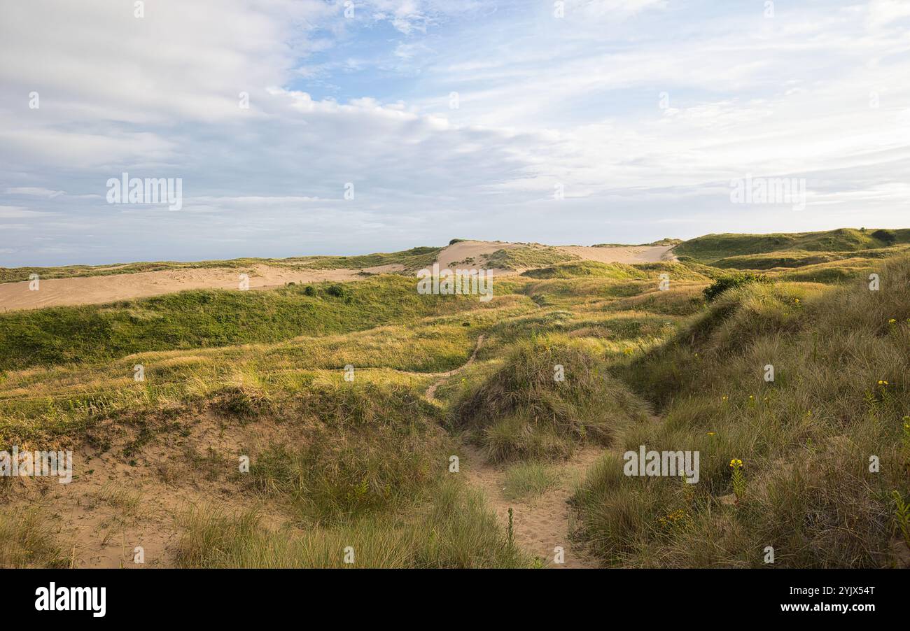 Merthyr Mawr Sanddünen in Südwales. Stockfoto