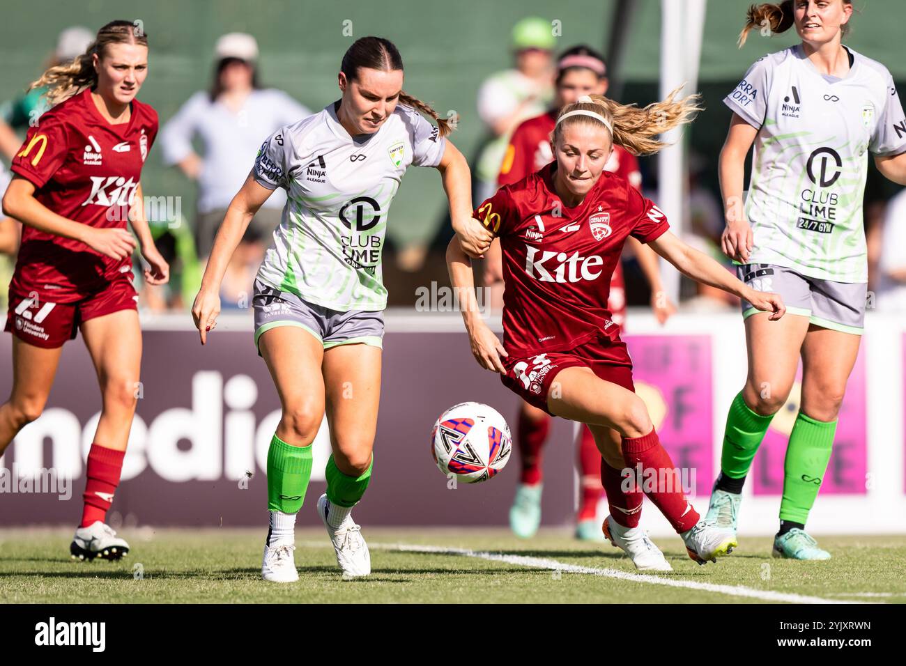 Canberra, Australien; 16. November 2024: Alex McKenzie von Canberra United FC und Fiona Worts von Adelaide United FC während des Ninja A-League Women Round 3 Spiels 2024/25 zwischen Canberra United FC und Adelaide United FC im McKellar Park in Canberra, Australien 2024. (Foto: Nick Strange/Fotonic/Alamy Live News) Stockfoto