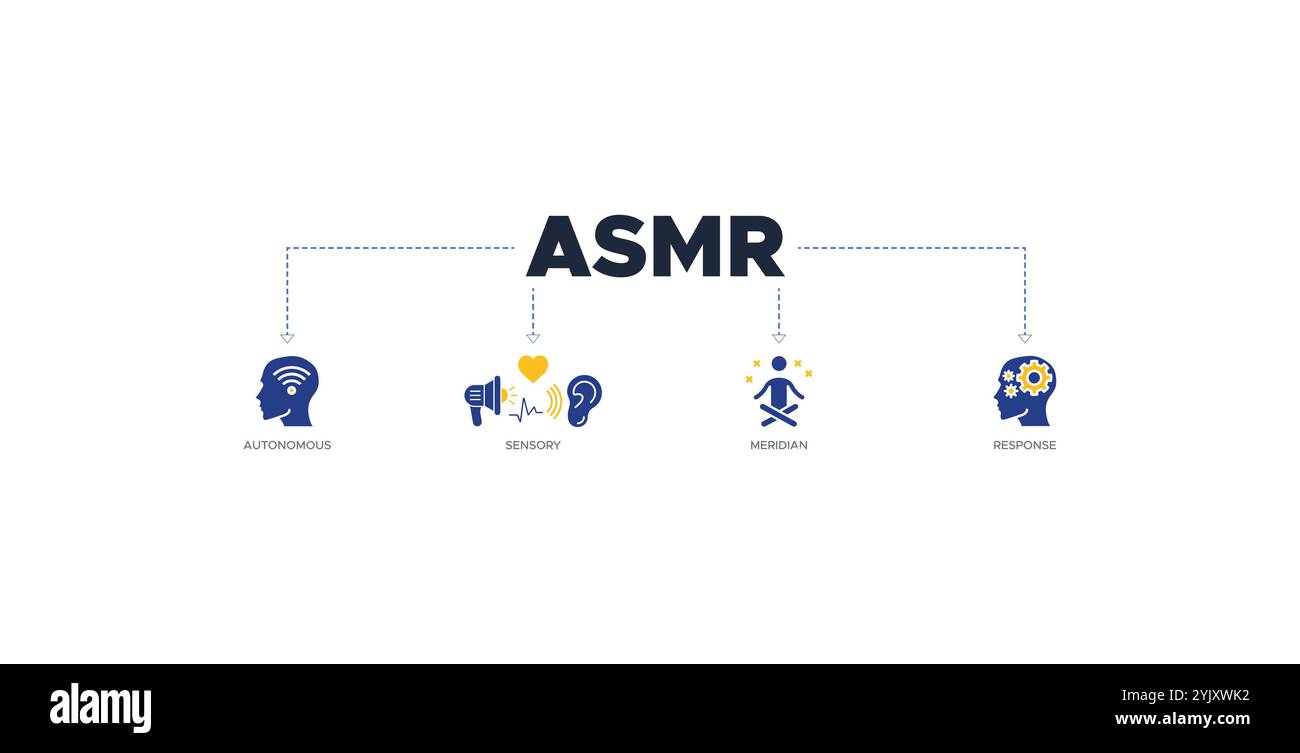 ASMR-Banner Web-Symbol-Vektor-Illustration Konzept mit Symbol für autonome, sensorische, Meridian und Antwort Stock Vektor