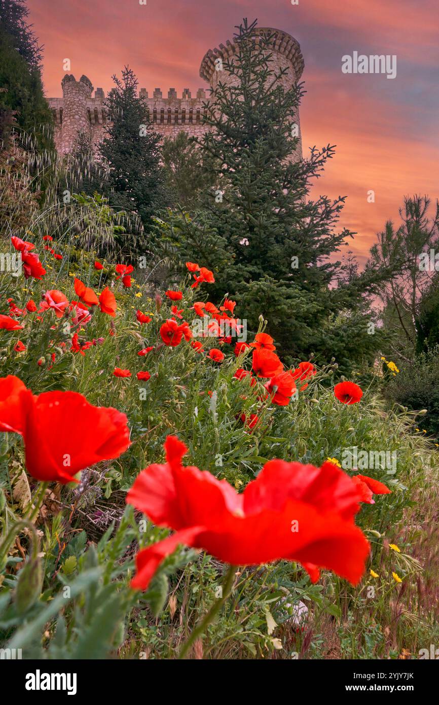 Blick auf das Schloss Torija bei Sonnenuntergang, Spanien Stockfoto