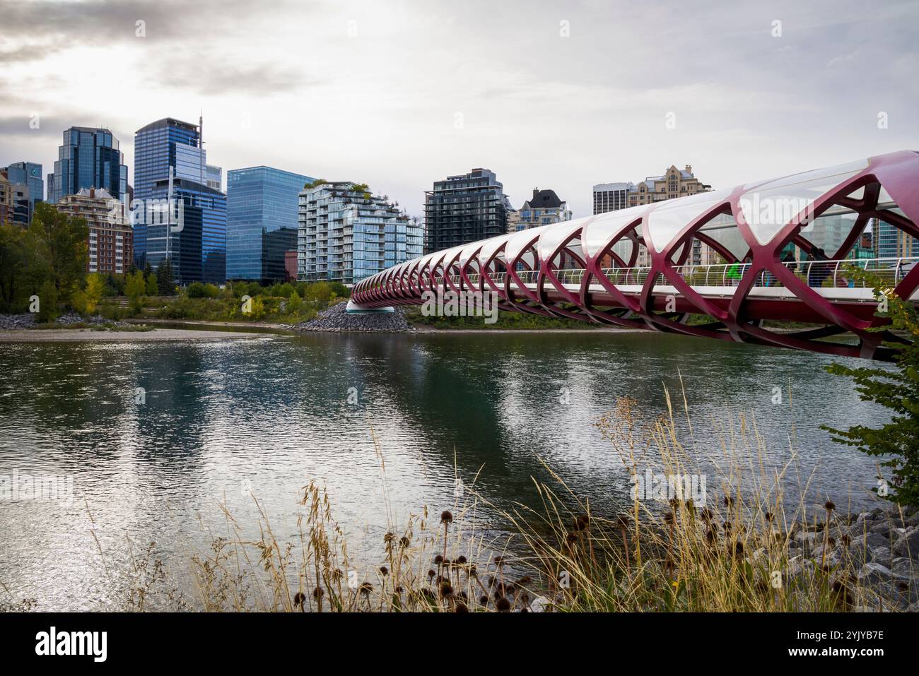 Reiseziel Calgary. Friedensbrücke über den Bow River mit modernen Stadtgebäuden im Hintergrund Stockfoto