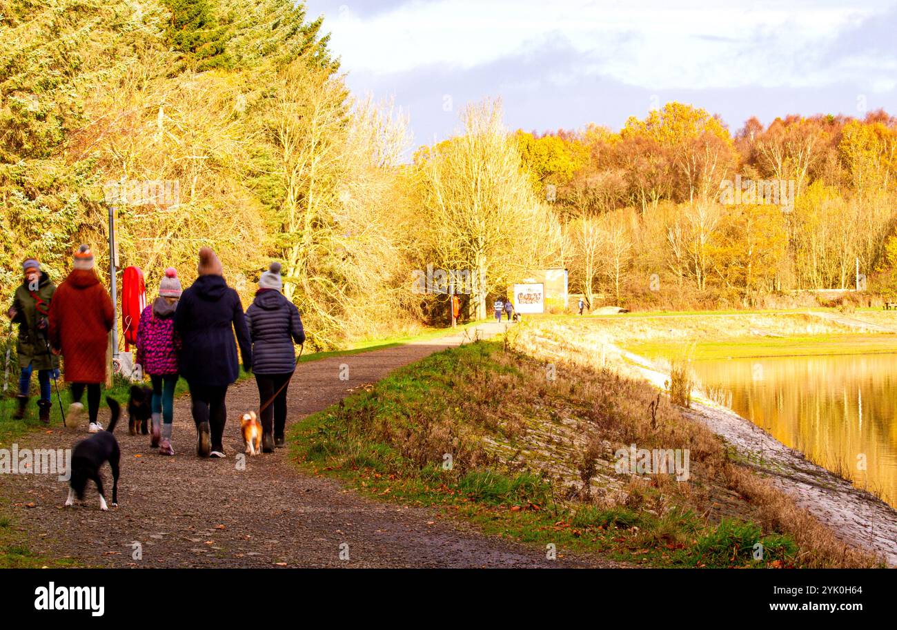 Dundee, Tayside, Schottland, Großbritannien. November 2024. Wetter in Großbritannien: Das sehr kühle Herbstwetter verstärkt die Pracht des Dundee Clatto Country Park. Trotz der niedrigen Temperaturen genießen einige Einheimische trotzdem einen samstags Spaziergang um den Park Teich. Quelle: Dundee Photographics/Alamy Live News Stockfoto