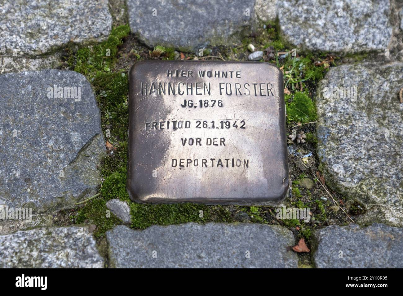 Stolperstein, Erinnerung an jüdische Mitbürger, die während der NS-Zeit vom Nationalsozialismus verfolgt, ermordet und deportiert wurden, Schnaitta Stockfoto