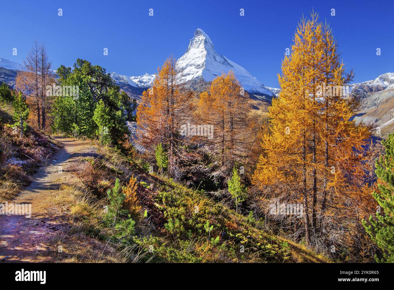 Wanderweg auf der Riffelalp mit goldgelben Lärchen und Matterhorn 4478m im Herbst, Zermatt, Mattertal, Wallis, Schweiz, Europa Stockfoto