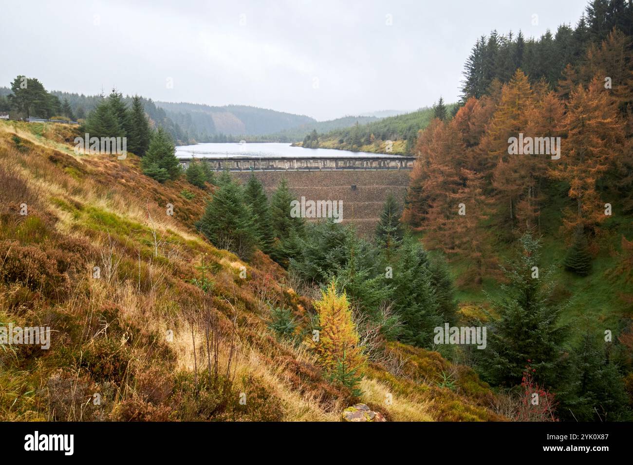 banagher Damm und altnaheglisches Reservoir der höchste Damm in Nordirland banagher glen National Nature Reserve and Forest Park County londonderry n Stockfoto