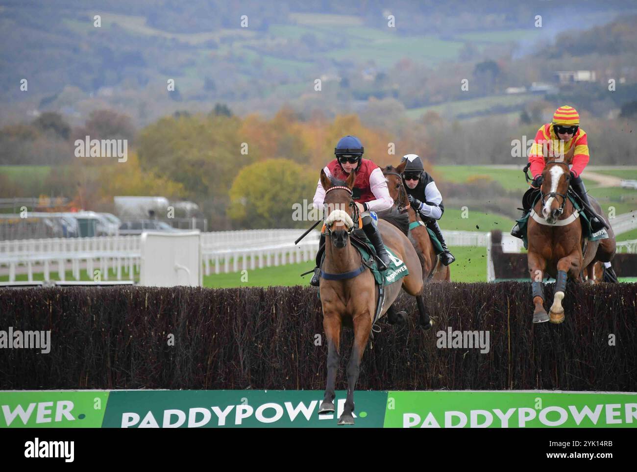 WESTERN Zephyr, geritten von Sean Bowen (blaue Kappe), springt den letzten Zaun in der ersten Runde vor Lookaway, gefahren von Jack Quinlan im Paddy Cheltenham, Großbritannien. November 2024. Power Arkle Challenge Trophy Trial Novices' Tureple Chase at Cheltenham Racecourse, Cheltenham Picture by Paul Blake/Alamy Images 16/11/2024 Stockfoto