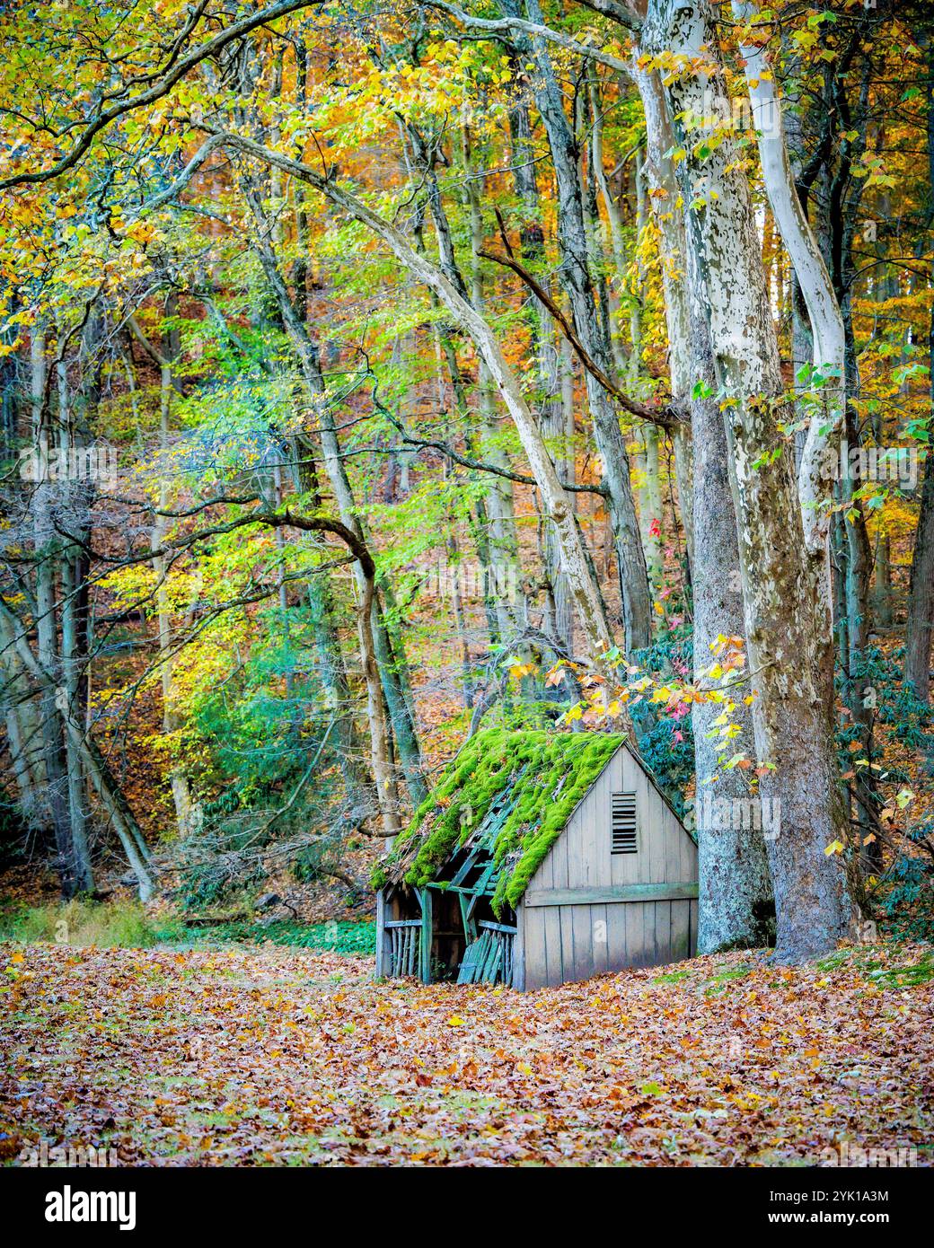 Herbstlaub Vereinigte Staaten – farbenfrohe Landschaft mit Laubbäumen im Herbst Stockfoto