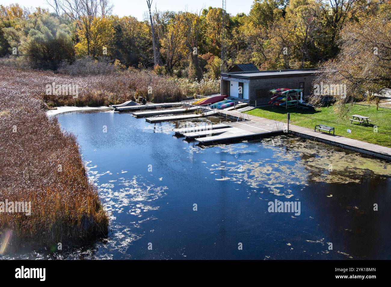 Marsh Board Walk im Point Pelee National Park in Leamington, Ontario, Kanada Stockfoto