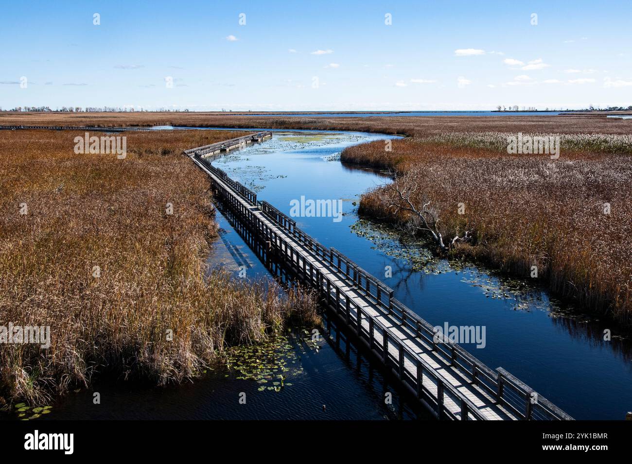 Marsh Board Walk im Point Pelee National Park in Leamington, Ontario, Kanada Stockfoto