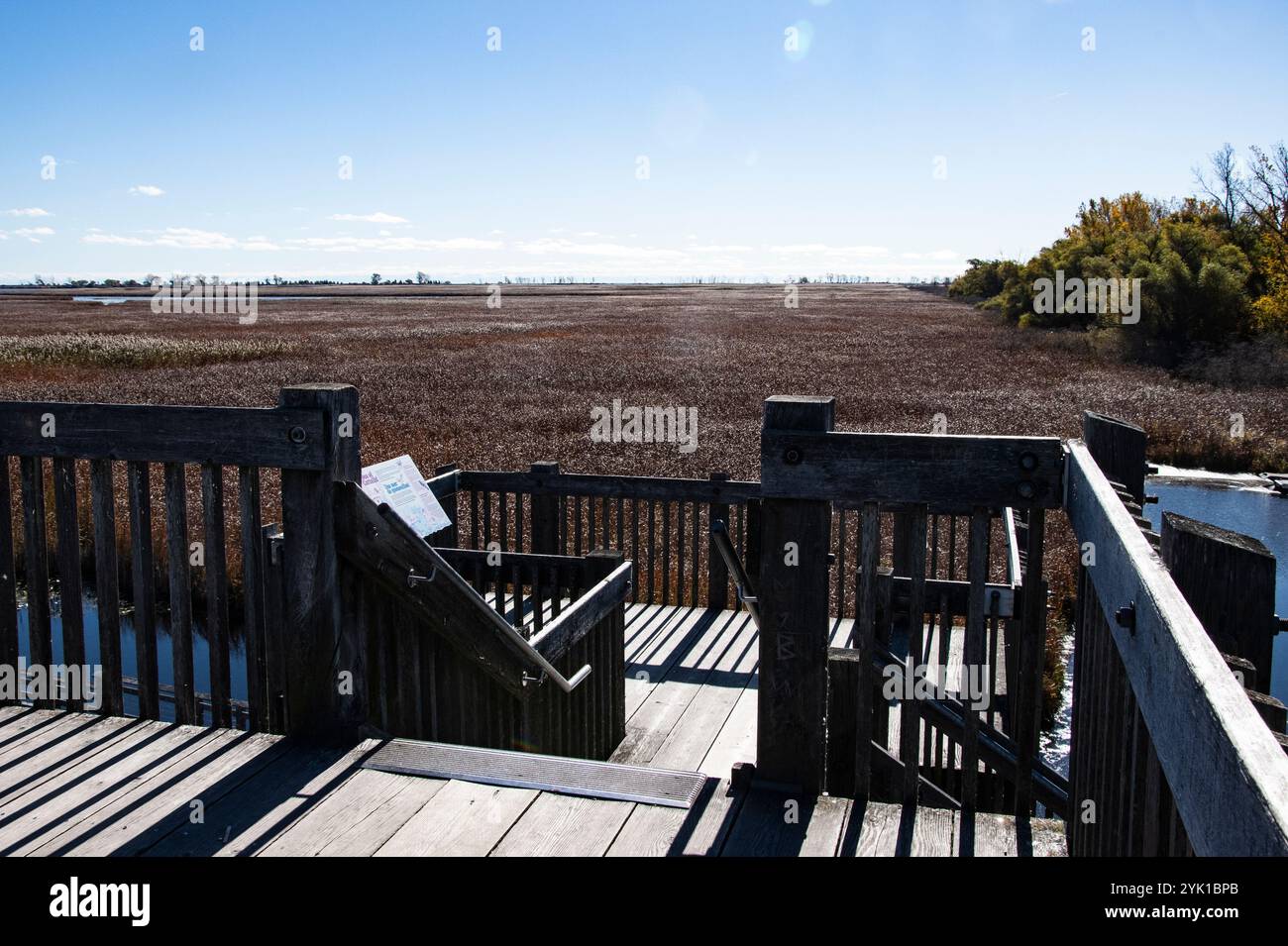 Marsh Board Walk Aussichtsplattform am Point Pelee National Park in Leamington, Ontario, Kanada Stockfoto