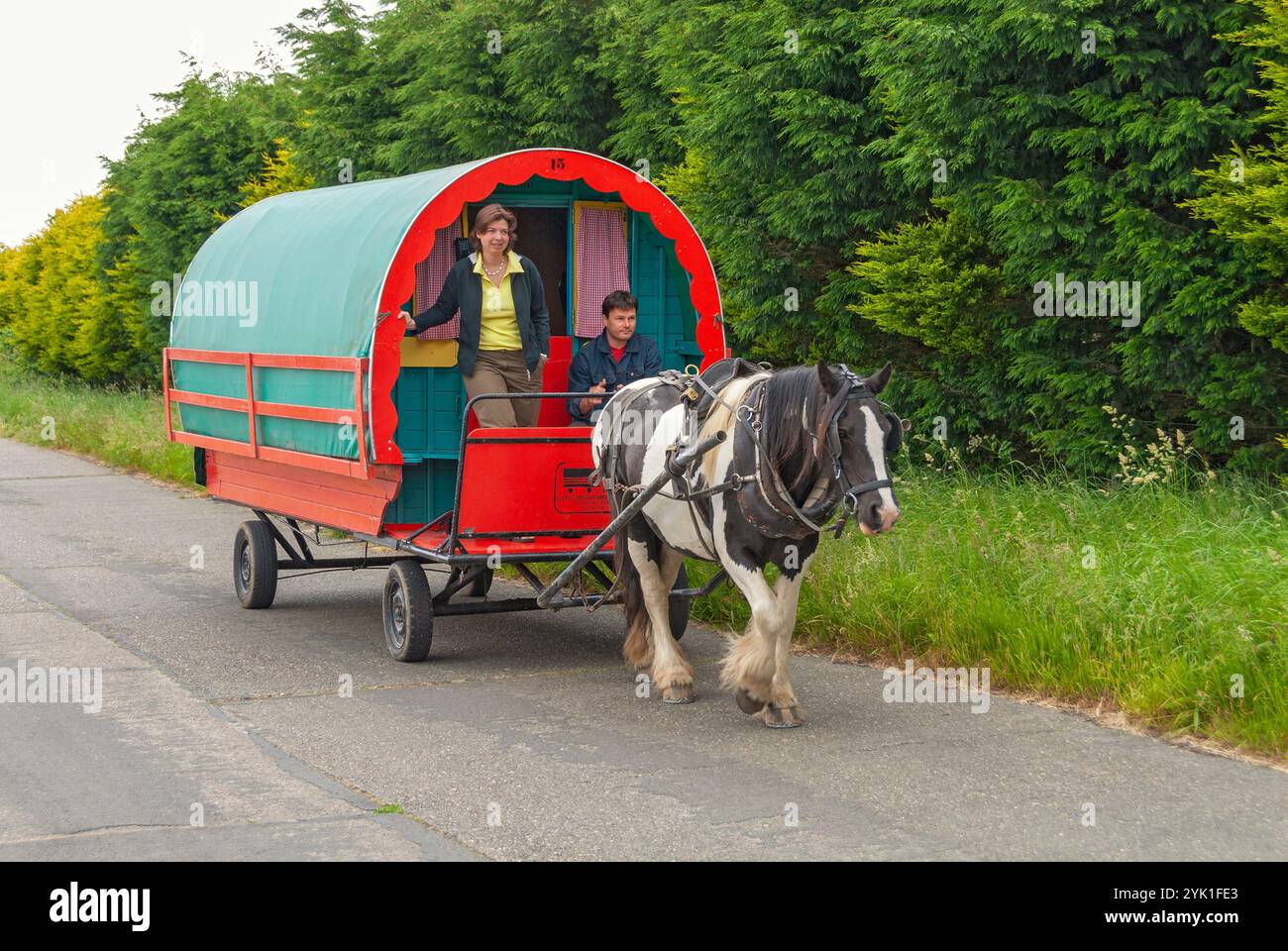 Irland, County Wicklow, Pferdewagen Stockfoto