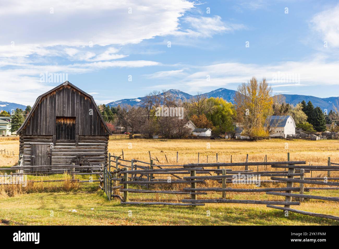 Alte Scheune und ein Roggenfeld im ländlichen Montana mit Rocky Mountains im Hintergrund Old Scheune und ein Roggenfeld im ländlichen Montana mit Rocky Mountains Bozema Stockfoto