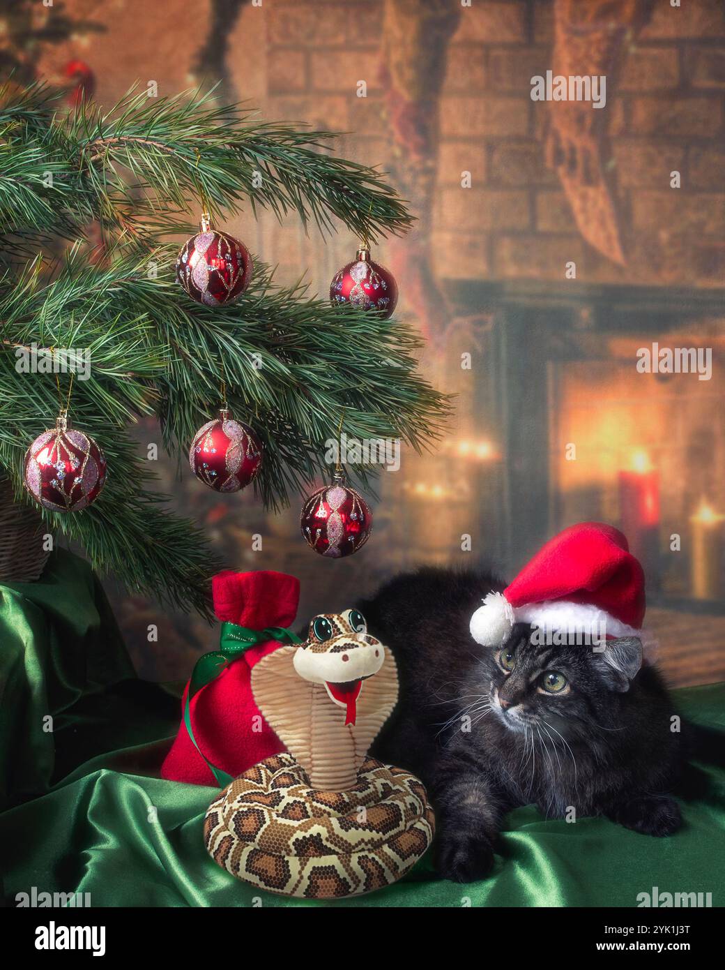 Katze im Weihnachtsmann-Anzug und Symbol des Jahres Schlange Stockfoto