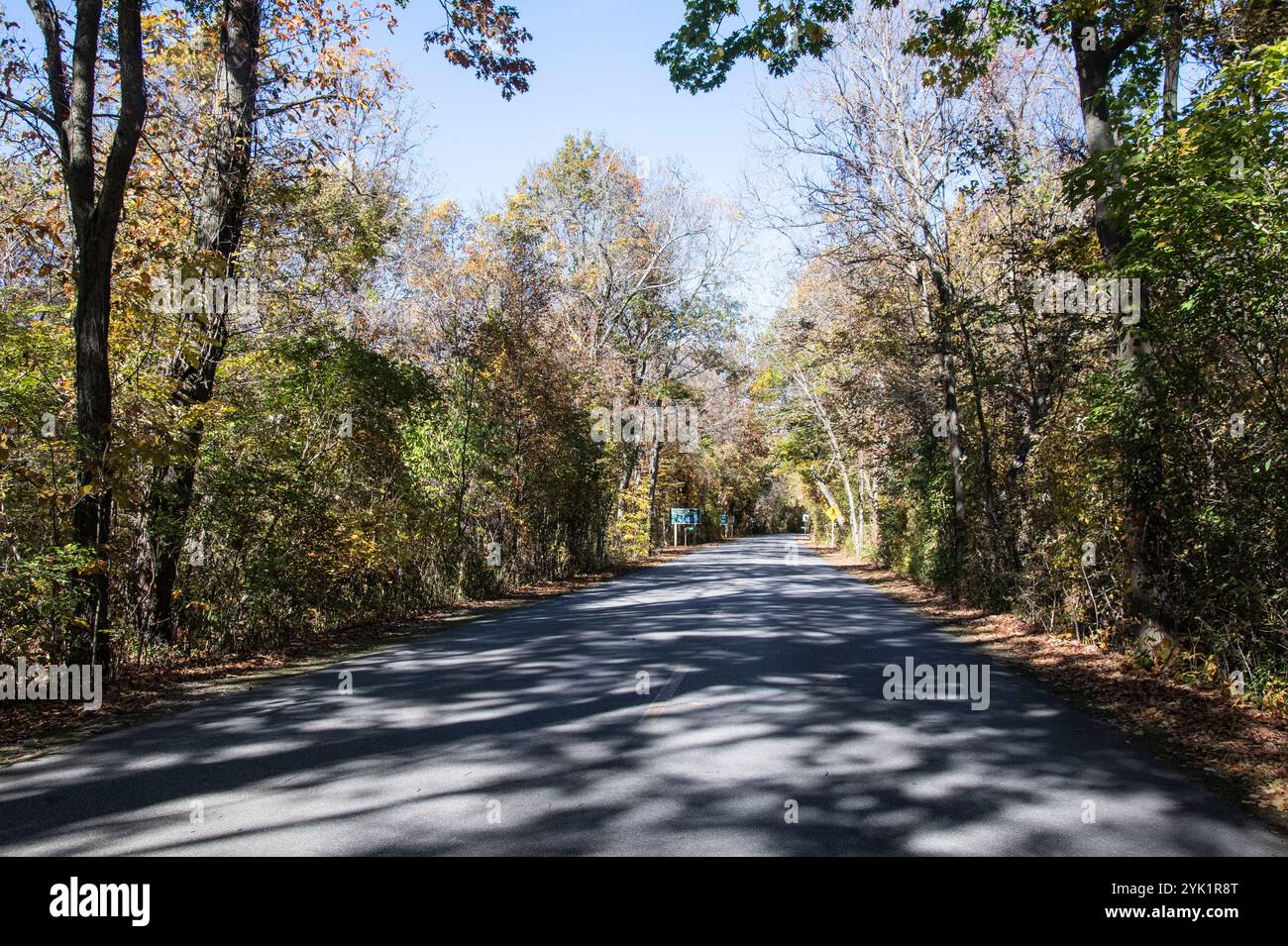 Herbstfarben auf dem Point Pelee Drive in Leamington, Ontario, Kanada Stockfoto