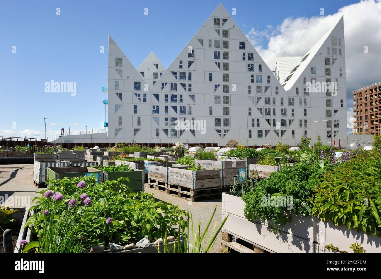 Öffentlicher Stadtgarten O-Haven vor dem Iceberg-Apartmentgebäude im neuen Viertel Aarhus Ø, das durch die Erweiterung des Hafenbereichs A errichtet wurde Stockfoto