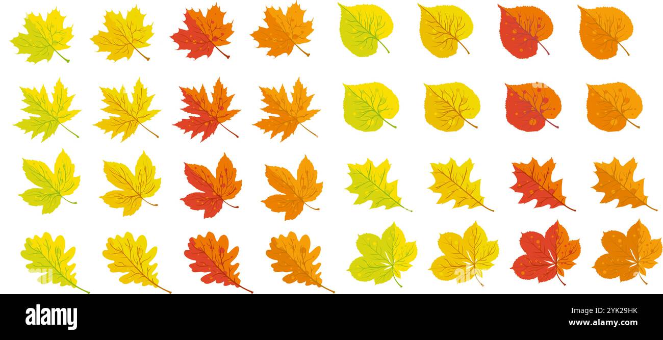 Herbstblätter aus Kastanien, Linde, Eiche und Ahorn Stock Vektor