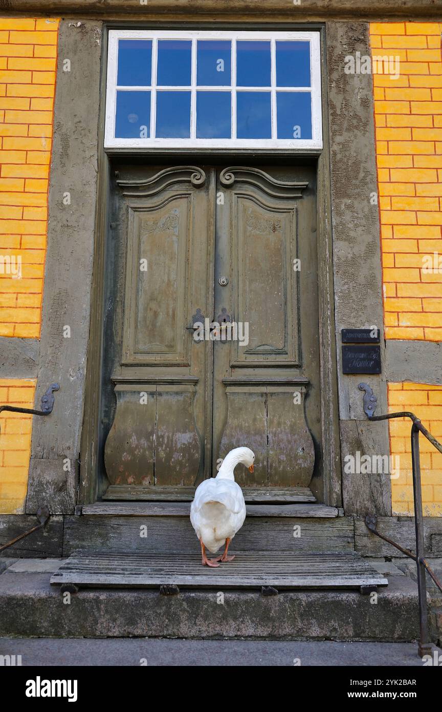 Den Gamle by oder die Altstadt, Freilichtmuseum, das aus 75 historischen Gebäuden besteht, die von 20 Townships in allen Teilen des Landes gesammelt wurden (o Stockfoto