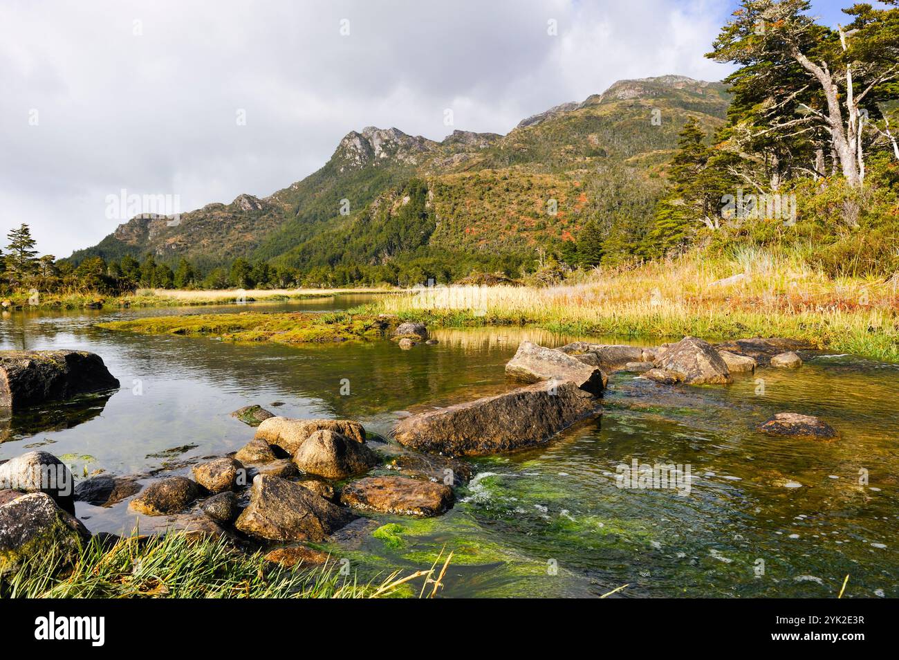 Ainsworth Bay, Alberto de Agostini Nationalpark, Feuerland, Patagonien, Chile, Südamerika Stockfoto