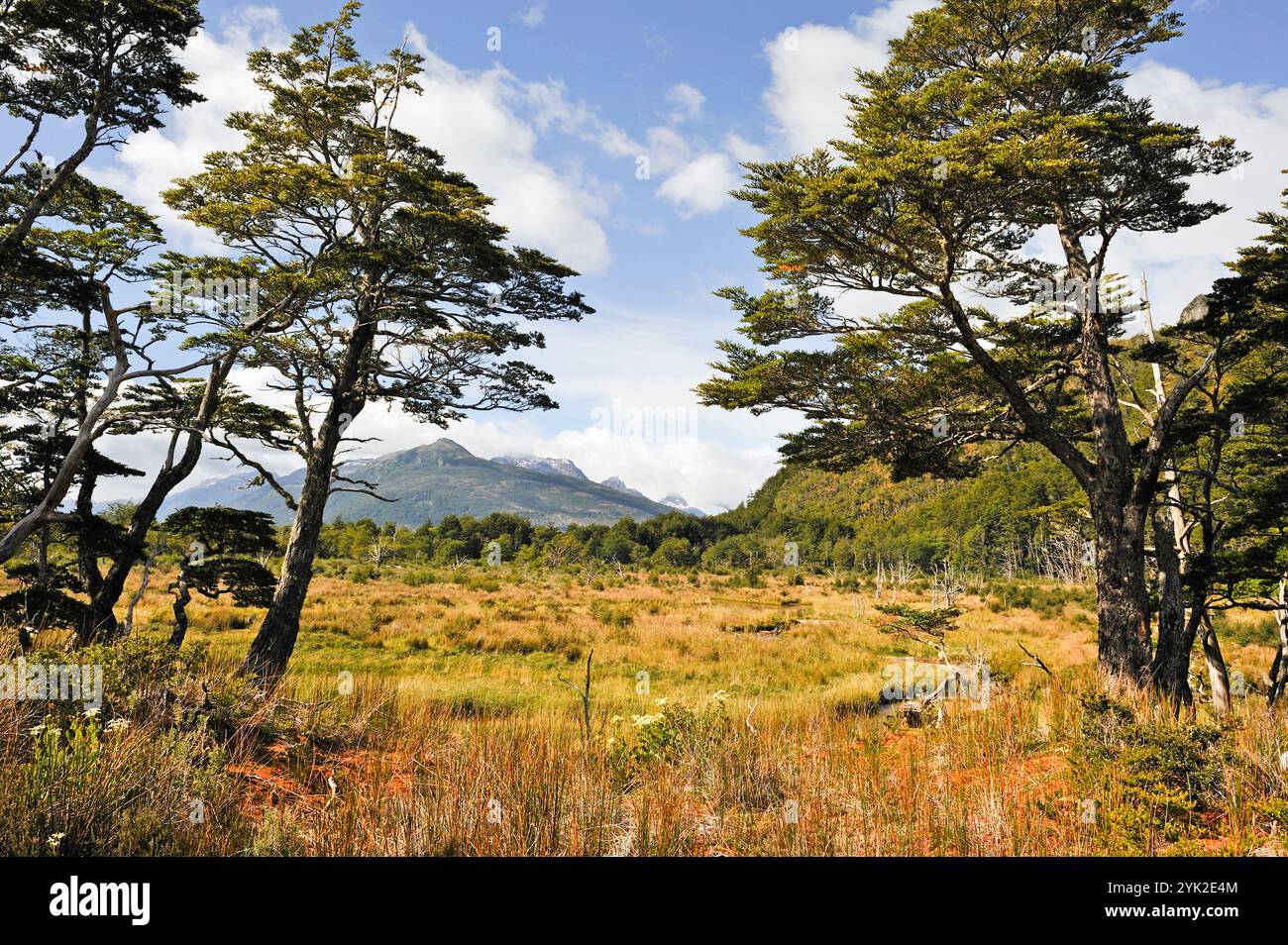 Ainsworth Bay, Alberto de Agostini Nationalpark, Feuerland, Patagonien, Chile, Südamerika Stockfoto