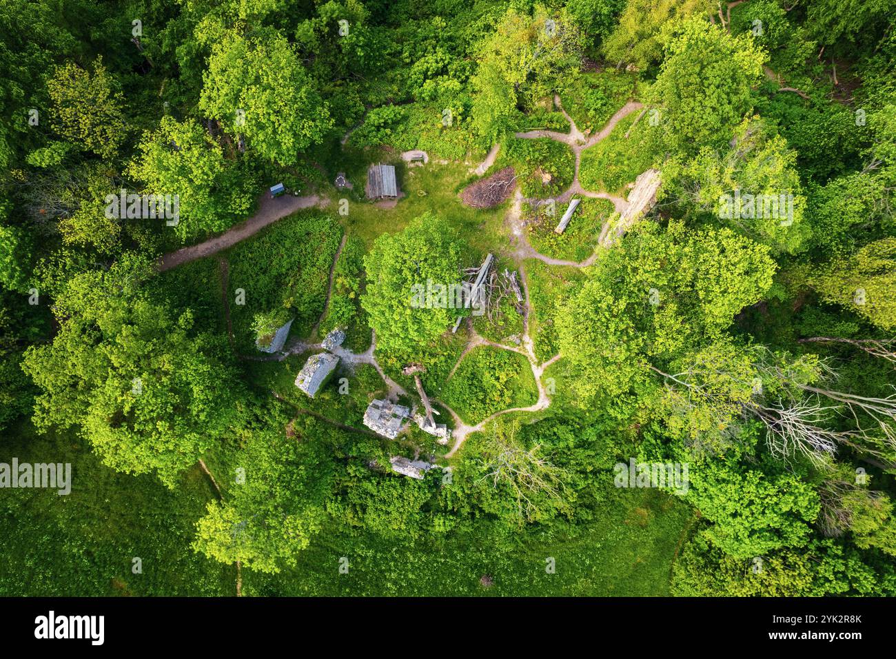 Sommer, Blick aus der Luft, Wald, Burg, Burgruinen, Stecklenberg, Harz, Sachsen-Anhalt, Deutschland, Europa Stockfoto