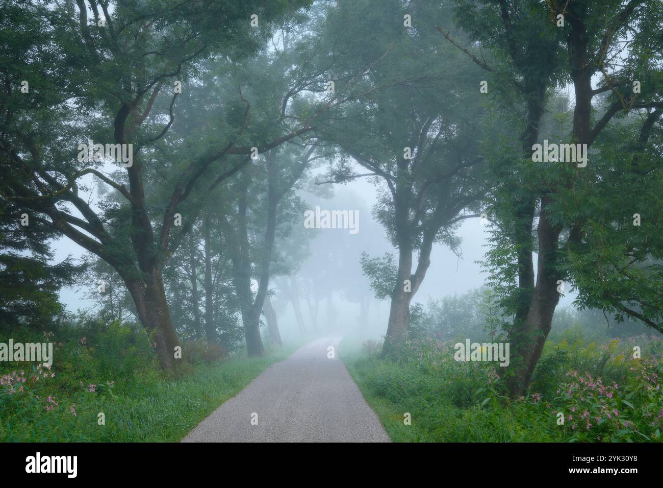 Spätsommermorgen im Weilheimer Moos, Weilheim, Bayern, Deutschland Stockfoto