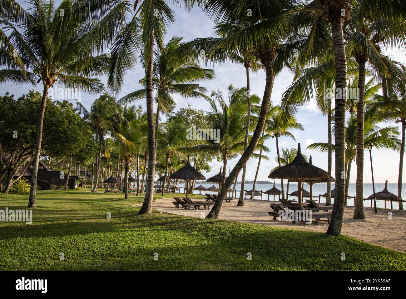 Kokospalmen, Rasenflächen, Liegestühle und Strohschirme am Strand des Trou aux Biches Beachcomber Golf Resort Stockfoto