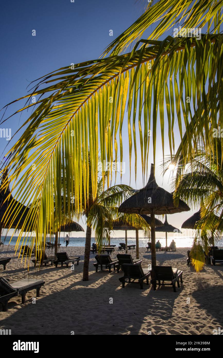 Kokospalmen, Liegestühle und Strohschirme am Strand des Dinarobin Beachcomber Golf Resort Stockfoto
