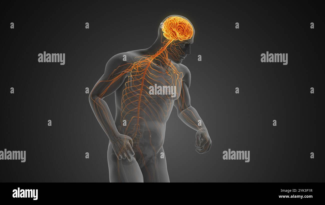 Neurodegenerative Störung mit motorischer Dysfunktion oder Morbus Parkinson Stockfoto