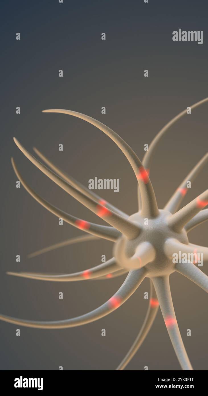 Neuronen und Nervensystem synaptische Ubertragung Stockfoto