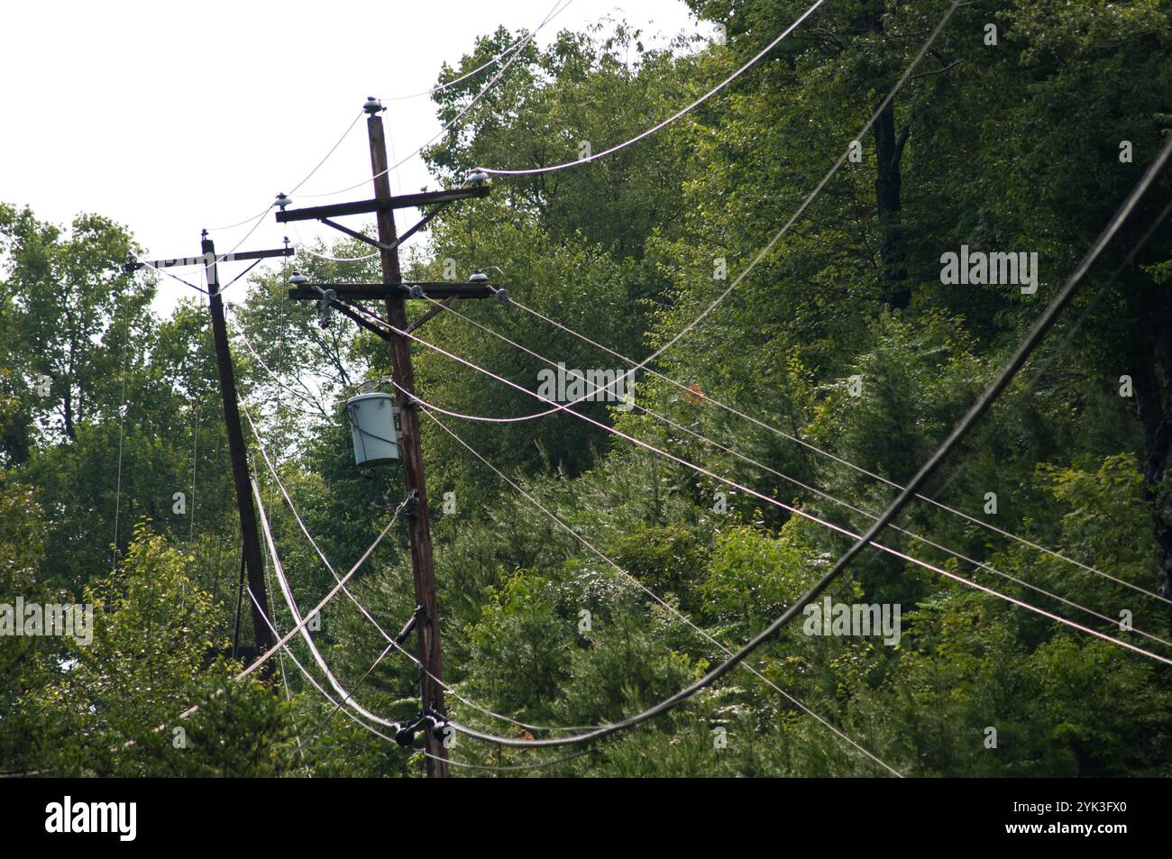 Strom- und Kommunikationsleitungen zwischen Lexington und Pikeville, KY am Dienstag, den 12. Juli 2011. Dies ist die Region Eastern Kentucky in den Appalachen. USDA Media von Lance Cheung. Stockfoto