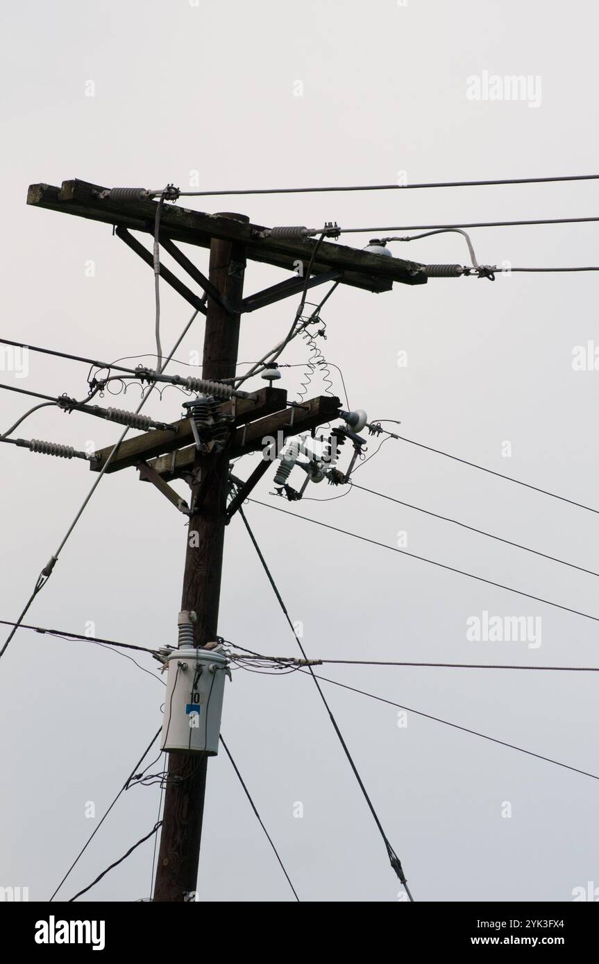 Strom- und Kommunikationsleitungen zwischen Lexington und Pikeville, KY am Dienstag, den 12. Juli 2011. Dies ist die Region Eastern Kentucky in den Appalachen. USDA Media von Lance Cheung. Stockfoto