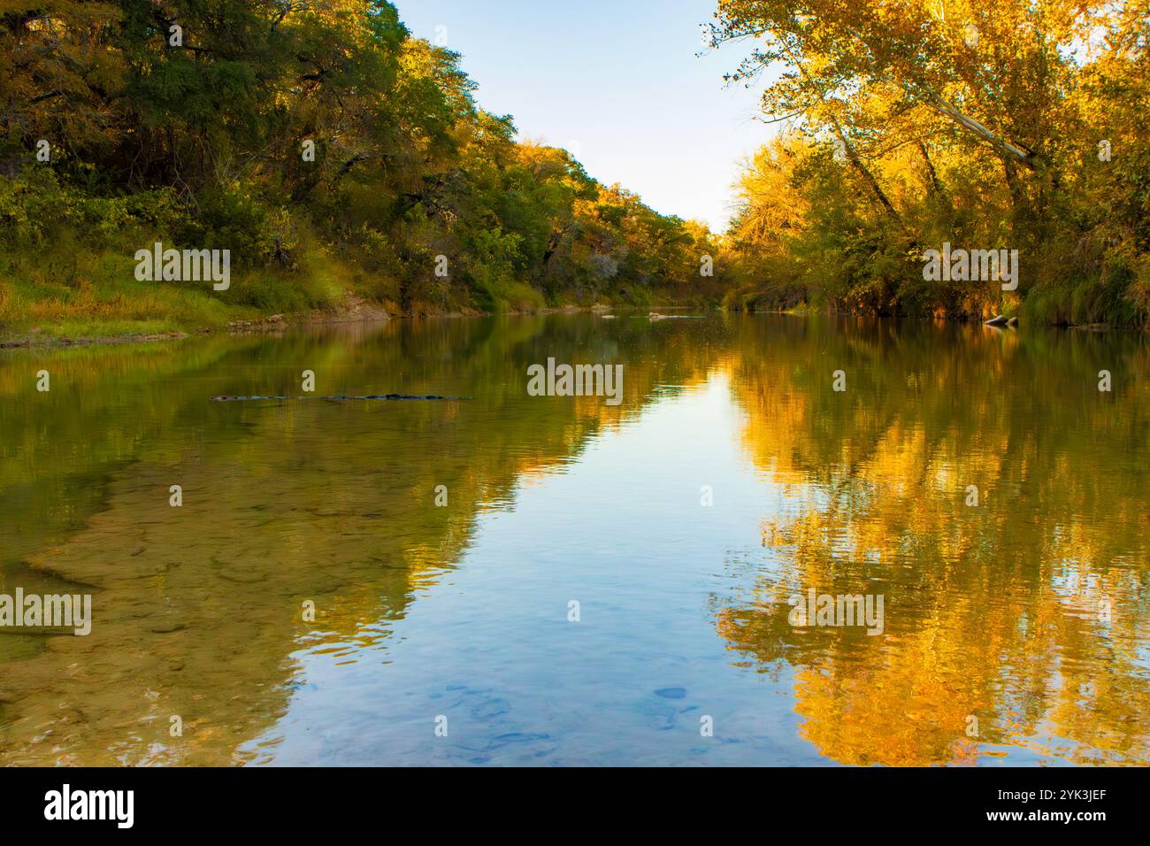 Diese ruhige Flusslandschaft im Herbst zeigt goldenes Laub, das sich in klarem, stillem Wasser spiegelt. Die leuchtenden Herbstfarben stehen im Kontrast zu den üppigen Farben Stockfoto