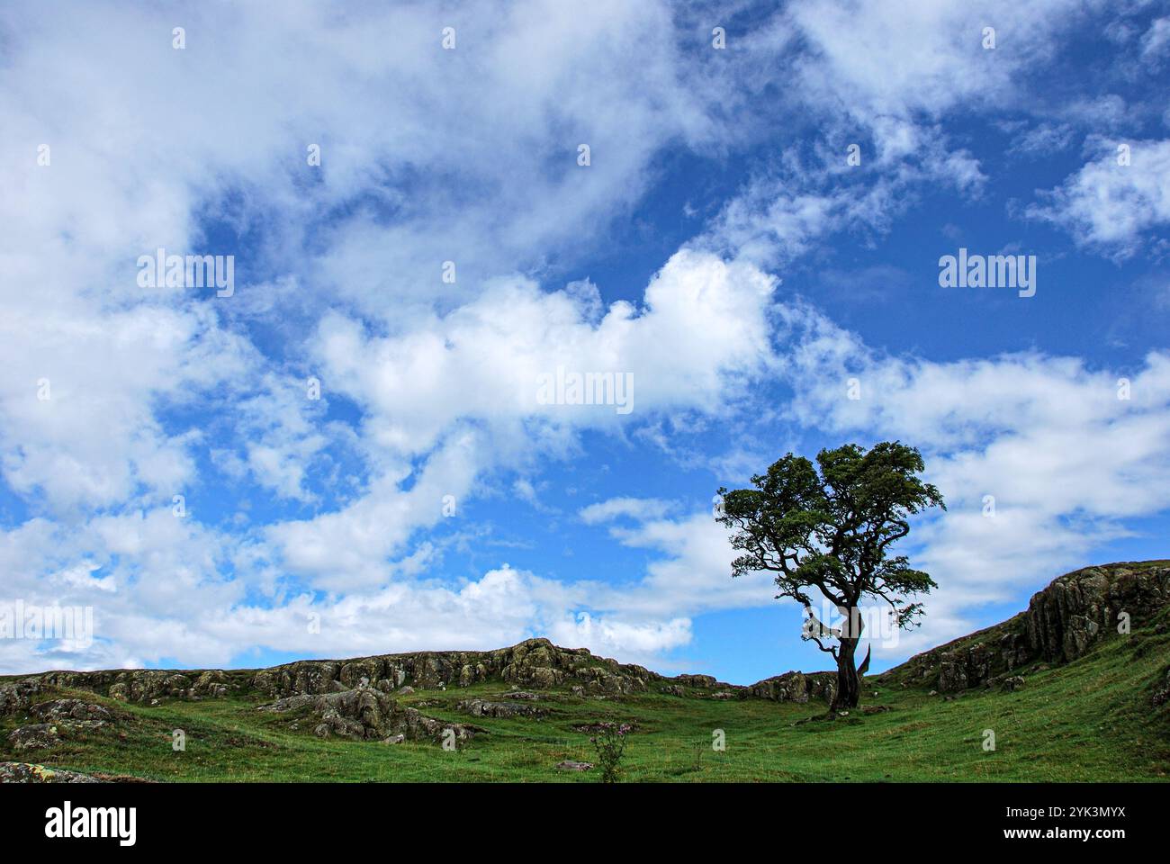 Hadrian&#39;s Wall, Grenze Schottland/England Stockfoto