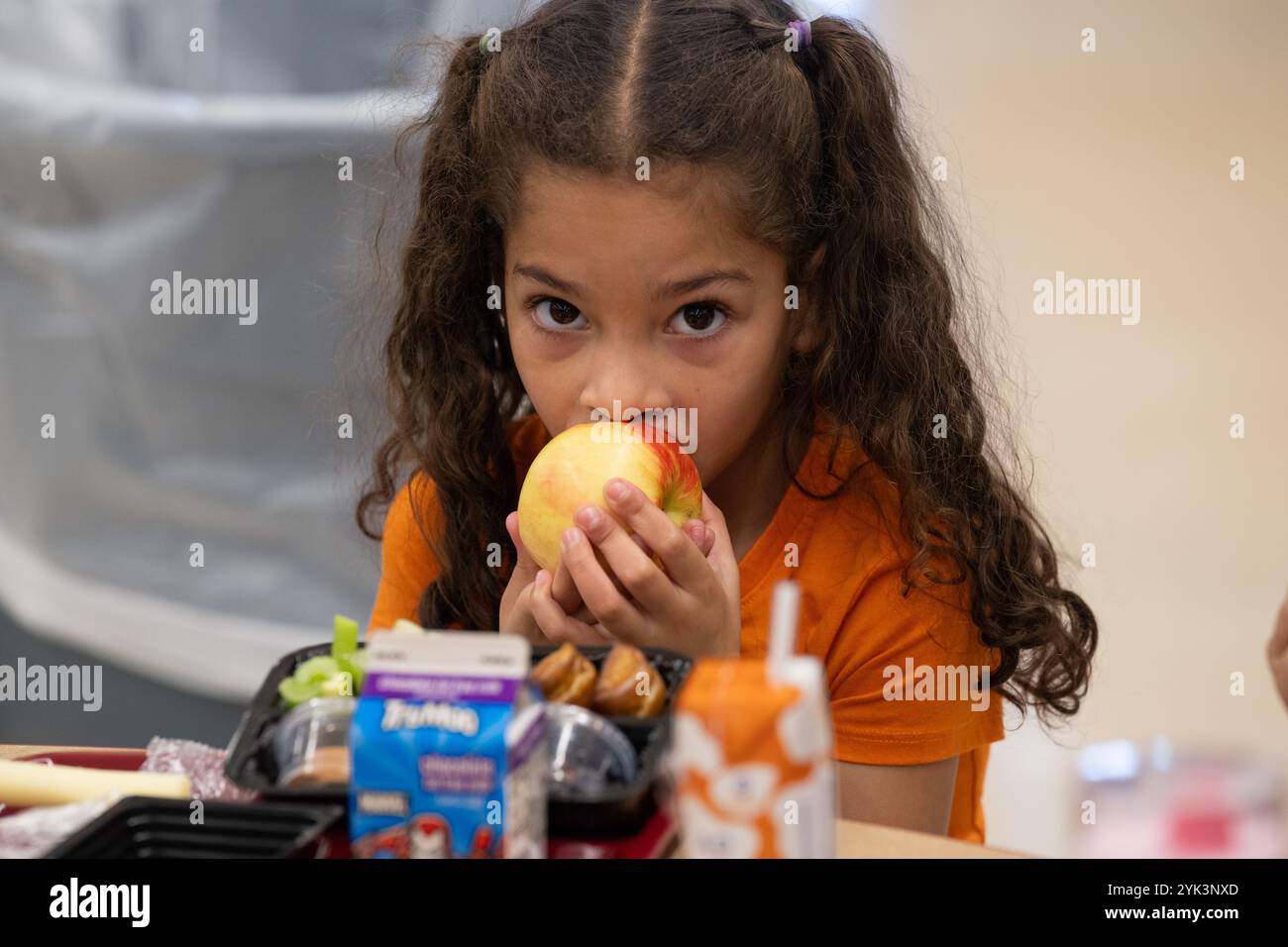 Schüler der Northwest Elementary School genießen ihr Mittagessen, Libanon, Pa., 17. Oktober 2024. Als Teil einer größeren Aktualisierung der Schulernährungsstandards, die Anfang dieses Jahres angekündigt wurde, machte das USDA es Schulen leichter, lokale Lebensmittel zu kaufen. Ab diesem Schuljahr (2024-2025) hat das USDA eine politische Änderung eingeführt, die es Schulen erlaubt, Lebensmittel vor Ort anzubauen, aufzuziehen oder zu fangen, wenn sie ihre Essensangebote kaufen. Die kürzlich angekündigte Investition in Höhe von 500 Millionen Dollar in lokale Lebensmittel für Schulen wird Schulen ermutigen, diese neue Option für lokale Käufe zu nutzen. Um Schulen im zu stärken Stockfoto