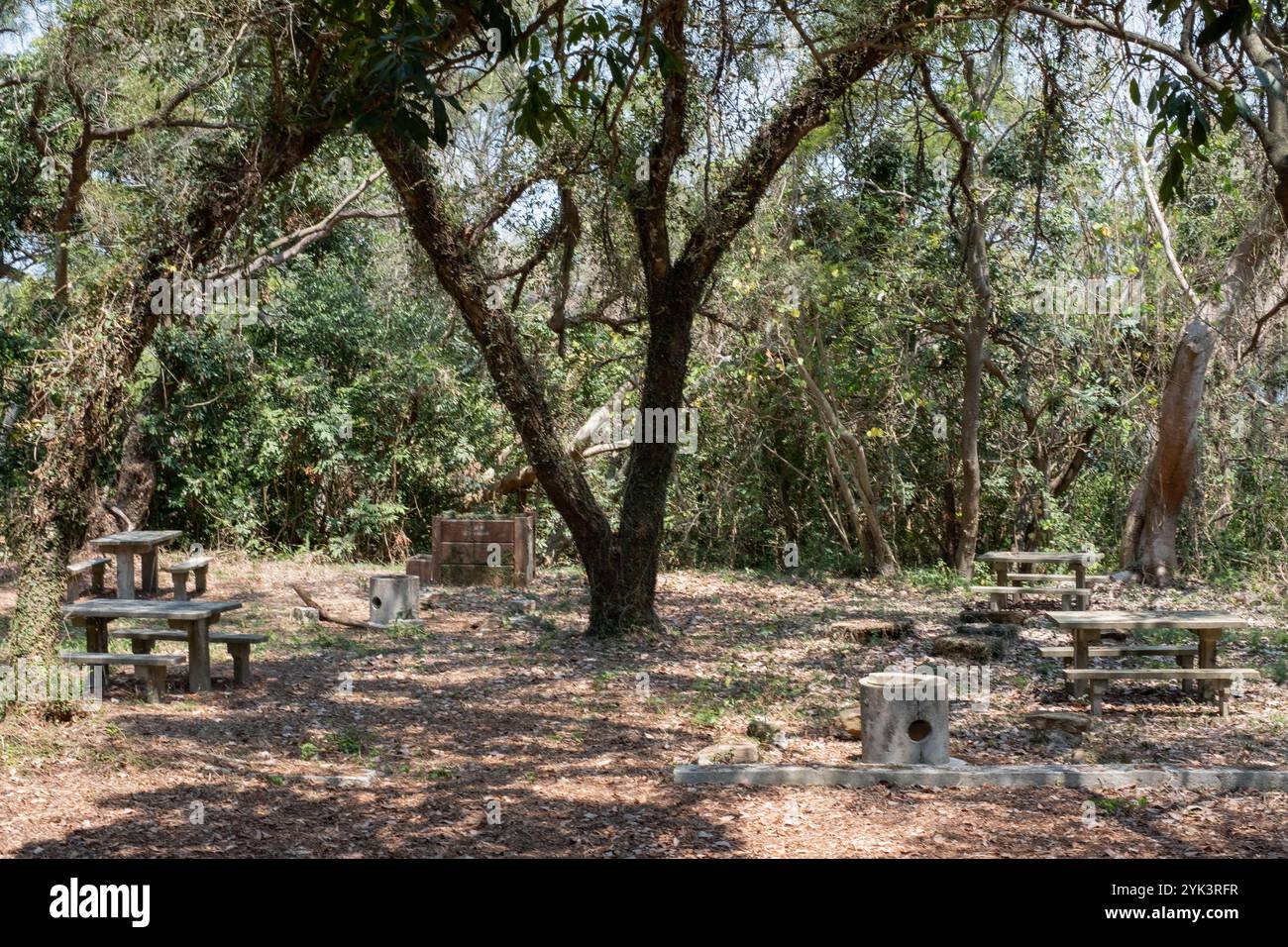Picknickbereich im Freien in einem Wald mit Bänken und Tischen auf der Insel Tung Ping Chau in Hongkong Stockfoto
