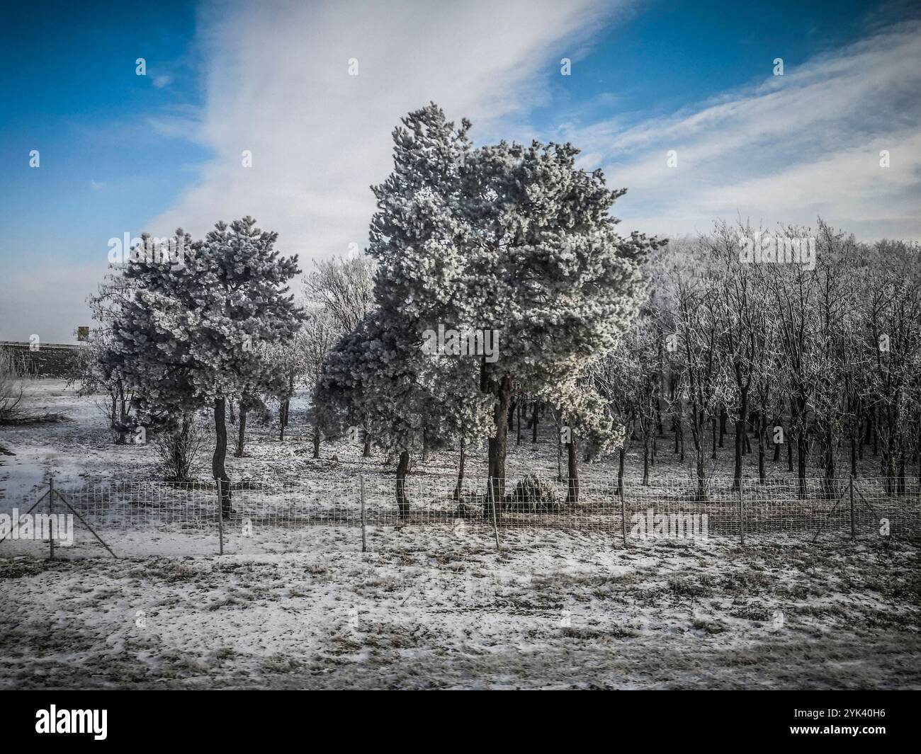 Eine verschneite Winterlandschaft an der Straße in Vojvodina, Serbien Stockfoto
