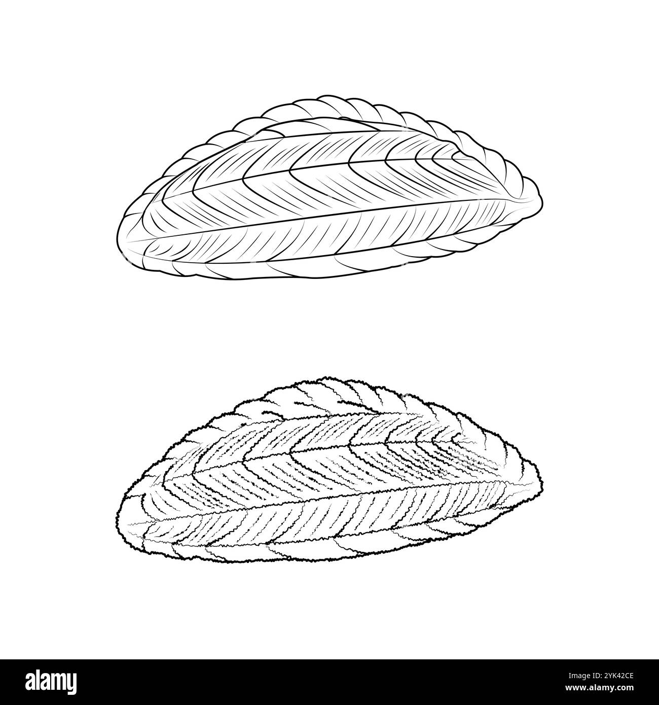 Shekerbura ist ein muss für die aserbaidschanische Küche. Novruz Festkonzept. Stock Vektor