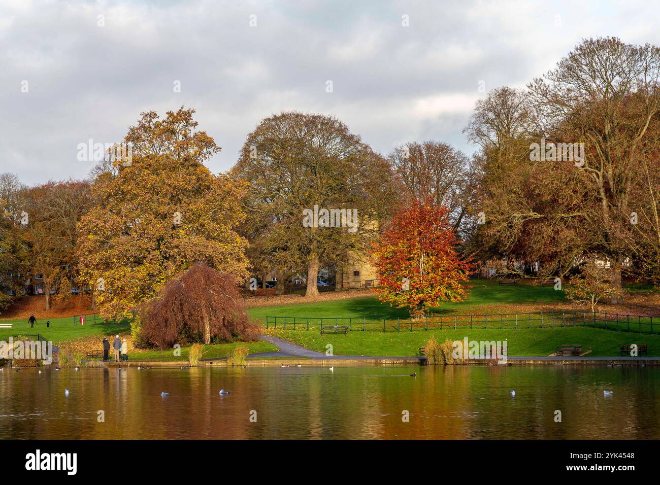 Abington Park, Northampton, Großbritannien. November 2024. Ein sonniger Morgen, um den Tag zu beginnen. Quelle: Keith J Smith./Alamy Live News. Stockfoto
